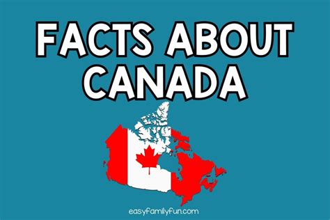 mainfact canada